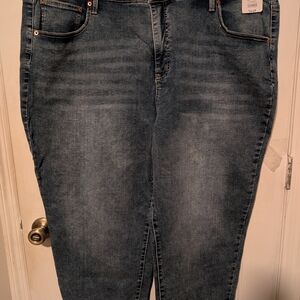 Women's Terra & Sky Straight Leg Jeans Size 3X 24-26 W